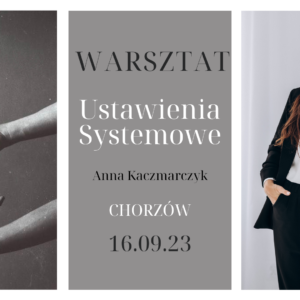 Warsztat Ustawienia Systemowe
